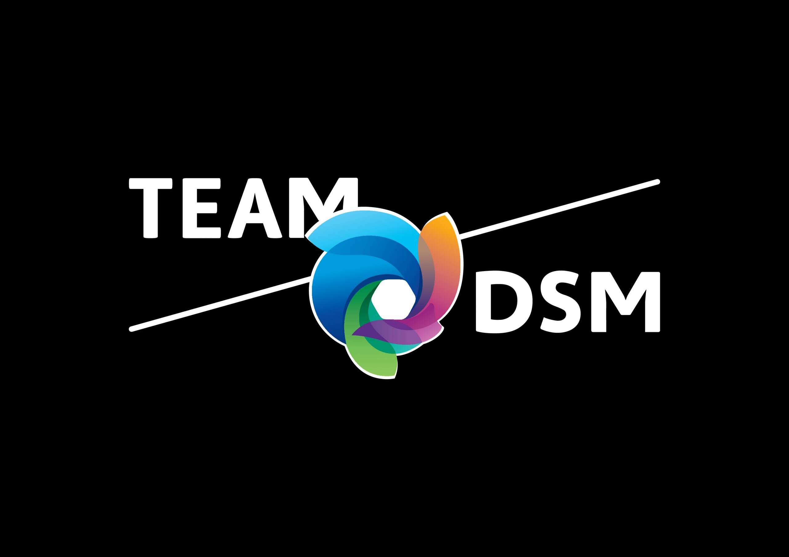 Team DSM logo