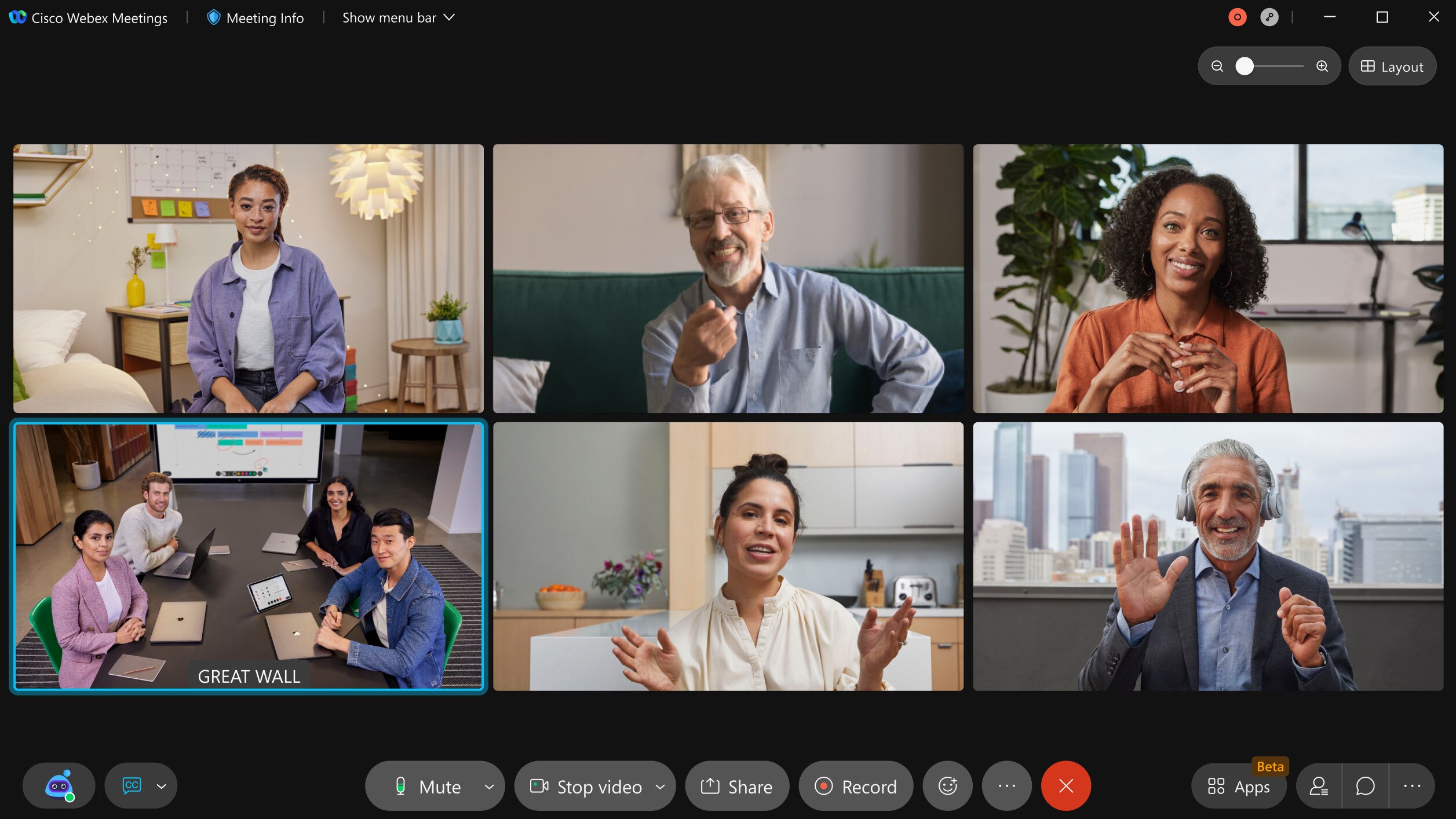 image of a Webex Meeting user interface