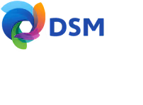 Team DSM logo